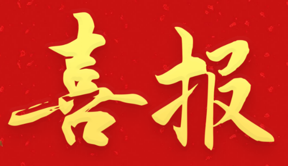 興馬公司在第二屆全國招標采購技能大賽中創佳績